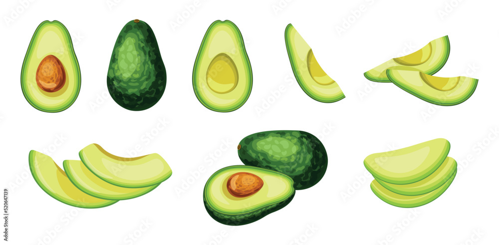 Set of fresh green avocado in cartoon style. Vector illustration of vegetables whole and cut into slices and halves on white background.