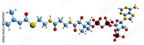  3D image of Methylcrotonyl-CoA skeletal formula - molecular chemical structure of  leucine intermediate isolated on white background
 photo