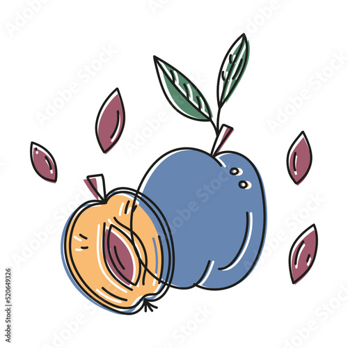 Outline vector illustration of plums whole and cut with pits in doodle style. Drawing with an offset outline. Hand drawn badge and symbol for printing on baby clothes, sticker, textile design.