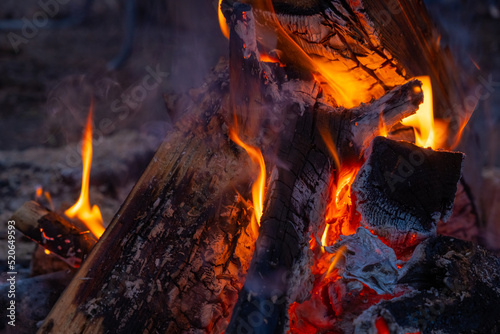 Firewood burning in a campfire at night
