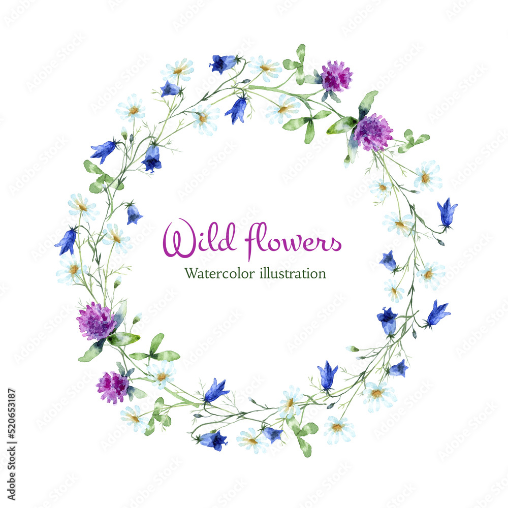 Watercolor flowers frame of Chamomile, Bluebell Flower, Red Clover isolated on a white background.