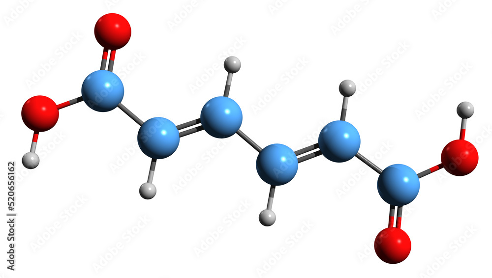 Obraz premium 3D image of Muconic acid skeletal formula - molecular chemical structure of isolated on white background 