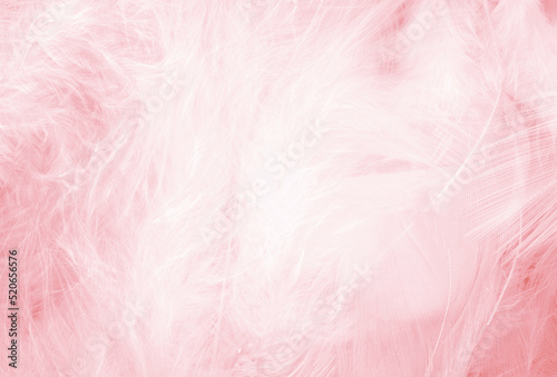 Coral pink vintage  feather pattern texture