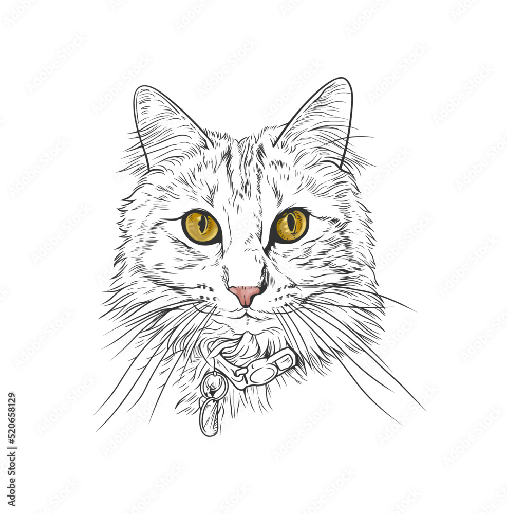 Cute cat head vector line art illustration Cute cat head vector line art illustration