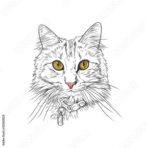 Cute cat head vector line art illustration