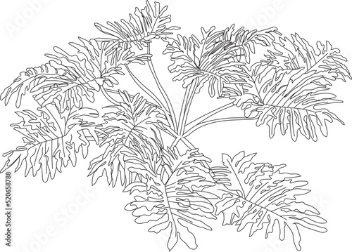 Vector tropical bush illustration. Digital rain forest plant. 