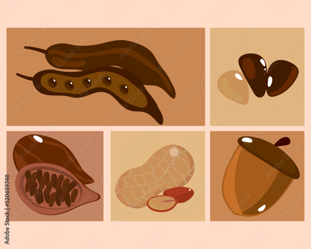 superfoods different nuts superfoods different nuts