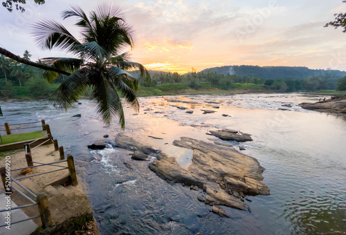 Lonely palm tree with wide angle rocky river sunset landscape with jungle banks in Pinnawala Elephant Orphanage. photo