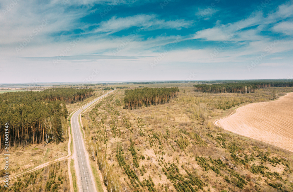 Aerial view of highway road through deforestation area landscape. Green pine forest in deforestation zone. Top view of field and forest landscape in sunny spring day. Drone view. Bird's eye view.