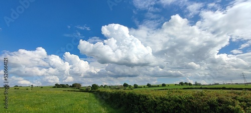 grass and sky