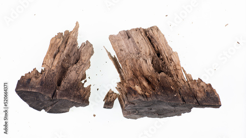 brown rotten piece of wood isolated on white background