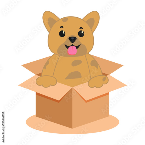 Cute homeless puppy inside a cardboard box