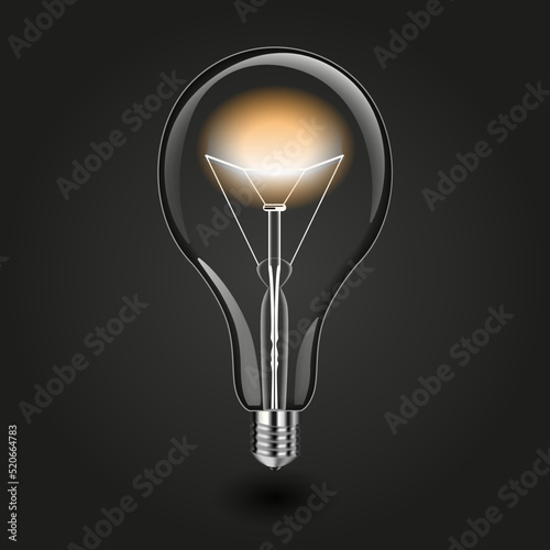 Light realistic transparent bulb vector image. Vector image of a light bulb