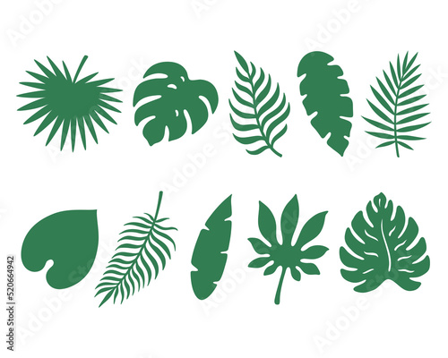 Set of tropical leaves. Green monstera leaf. Hawaiian flora. Vector objects isolated on white background.