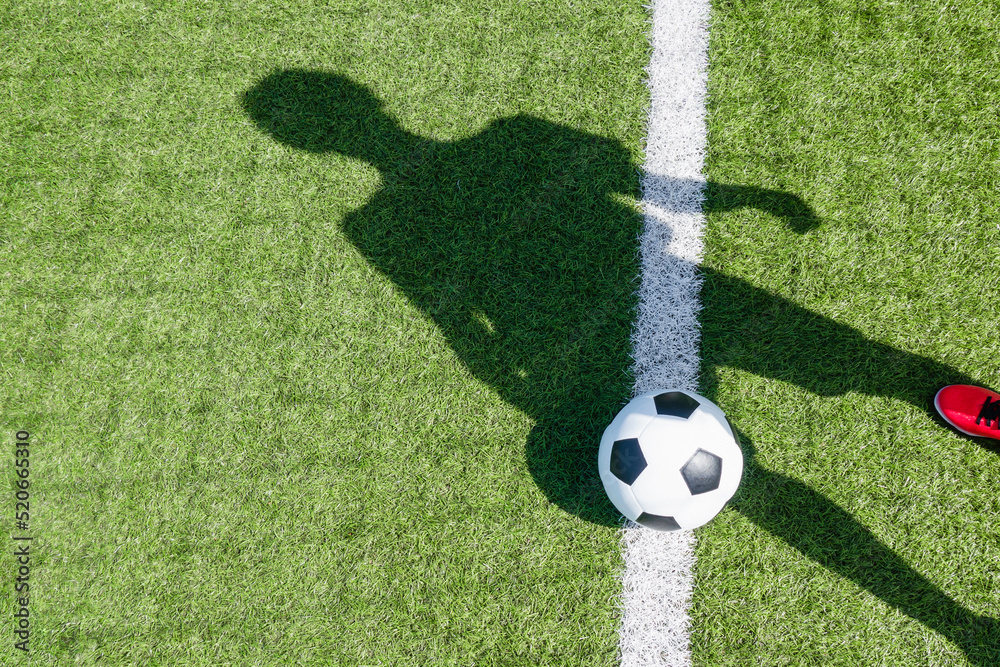 Obraz na płótnie Soccer football sport background. Soccer ball and shadow of player on artificial turf soccer field in sunny day outdoors w salonie