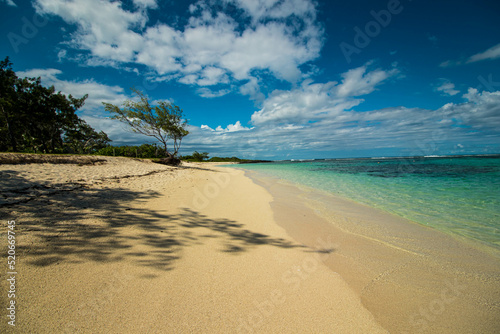Fototapeta Naklejka Na Ścianę i Meble -  beach with palm trees, Mauritius