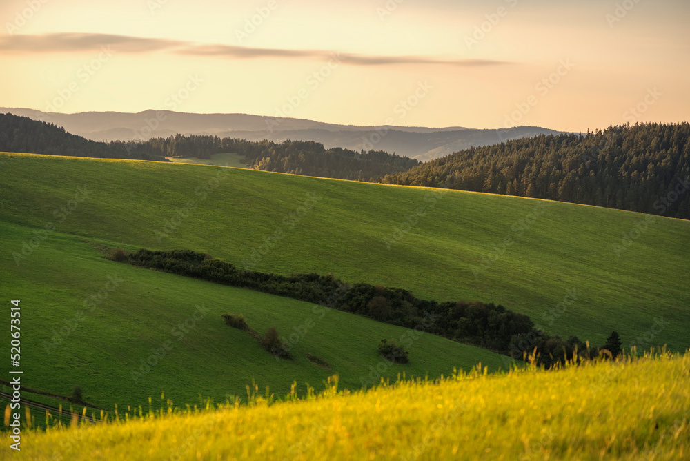 Fototapeta premium landscape with green field and mountains