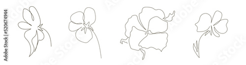 Set of four pansies flowers in a single linear style. Stock vector illustration, isolated on white background.
