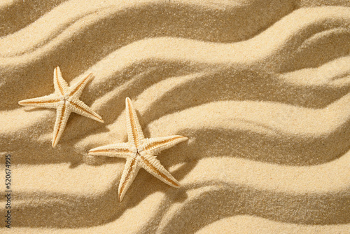 Sandy beach background with starfishes. Top view. Copy space. Banner. Backdrop for mockups. Summer vacation.