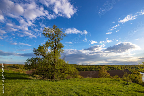 View from the hill to plowed farmland. Landscape with a river  arable land and green trees.
