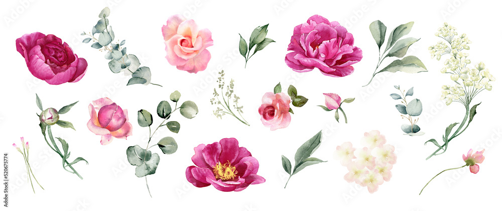 Watercolor flowers clipart. Pink peony, rose flower, hydrangea and eucalyptus leaves. Floral arrangement for card, invitation, decoration. Illustration isolated on white background
