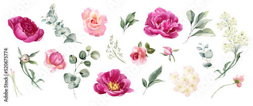 Watercolor flowers clipart. Pink peony  rose flower  hydrangea and eucalyptus leaves. Floral arrangement for card  invitation  decoration. Illustration isolated on white background