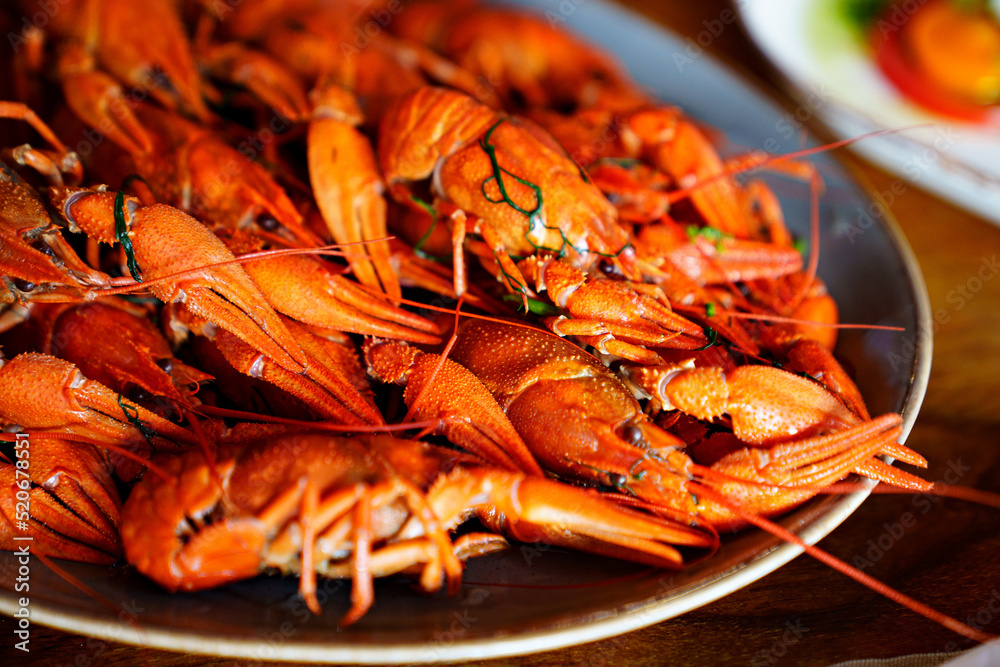 an appetizer with beer from whole boiled river crayfish. an appetizer with beer from whole boiled river crayfish.