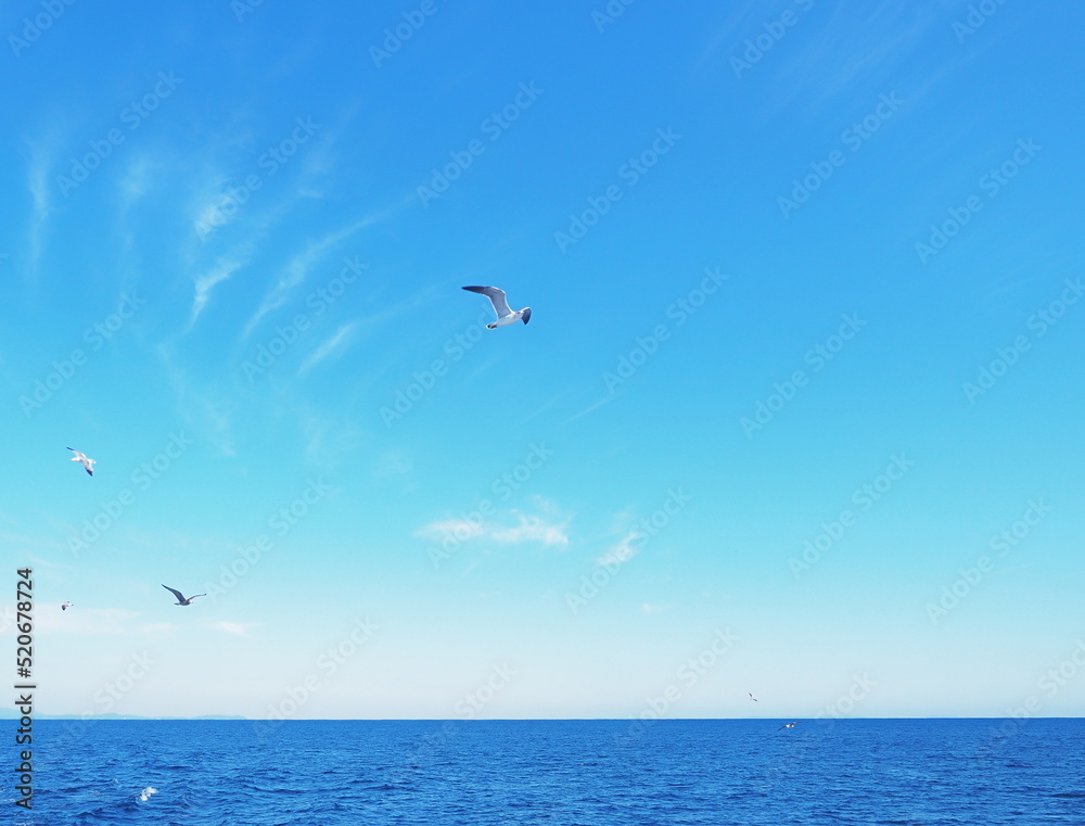 青い海の上を飛ぶ白いカモメ