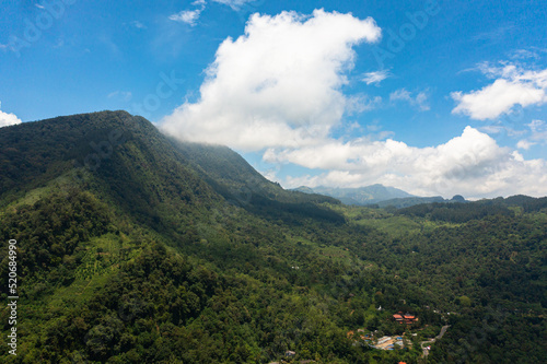 Aerial view of Fresh green foliage  tropical plants and trees covers mountains and ravine. Sri Lanka.