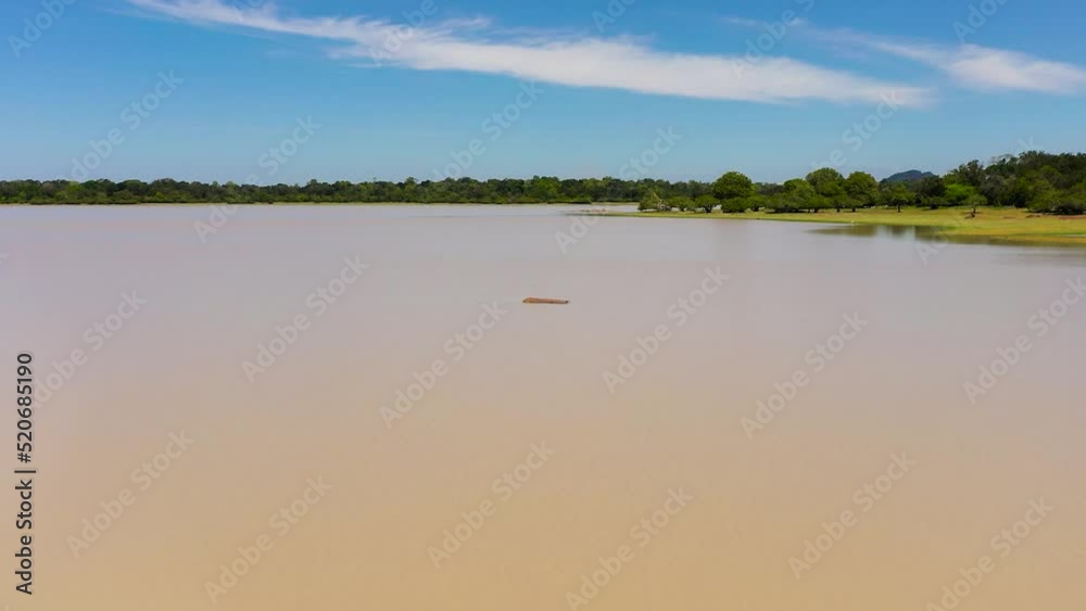 Aerial drone of lake in the middle of the jungle, the natural habitat of wild animals in Sri Lanka. Aerial drone of lake in the middle of the jungle, the natural habitat of wild animals in Sri Lanka.