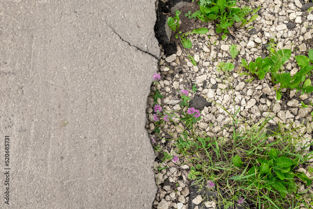 Asphalt grass Asphalt grass