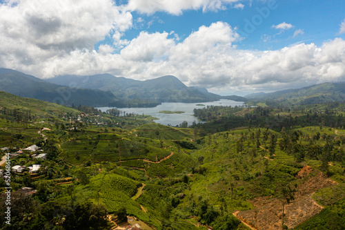 Tea plantation and Maskeliya Lake or Maussakelle reservoir near Nuwara Eliya in Sri Lanka.