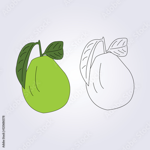 line draw guava for coloring vector illustration design