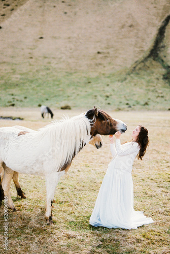 Fototapeta Naklejka Na Ścianę i Meble -  Bride in a white dress strokes horses near the mountains. Iceland