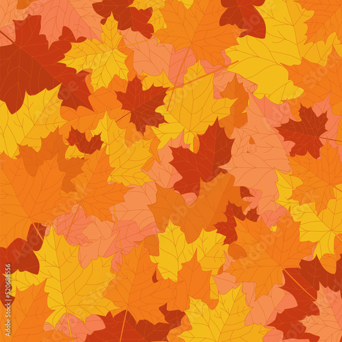 Natural background for autumn or fall concept, fallen leaves in warm colors, red, orange and yellow in a vibrant and vivid seasonal design. 