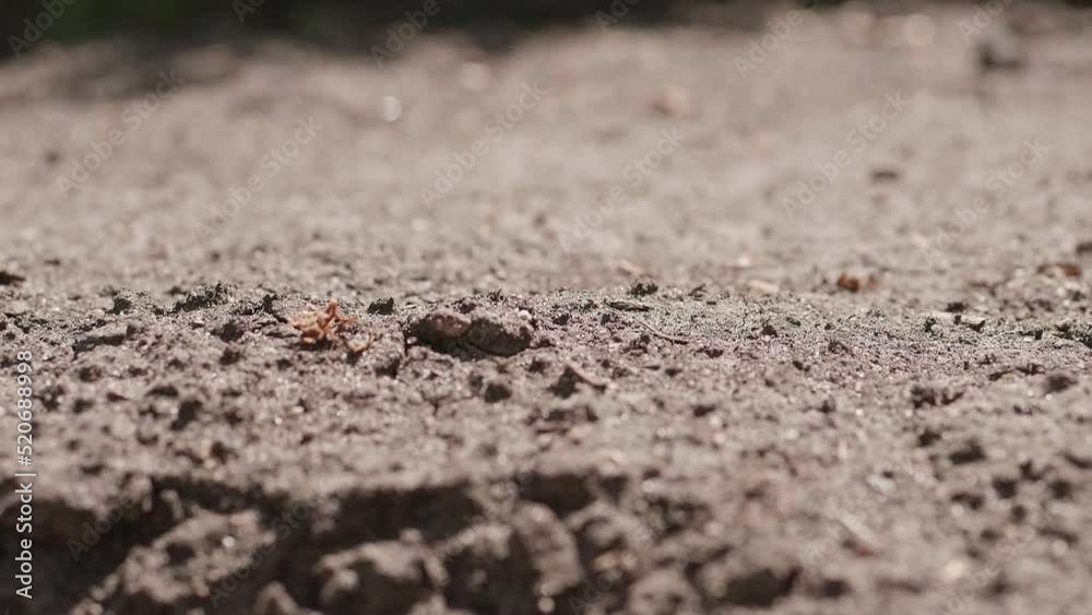 Dried, cracked ground watered with water. Slow motion recording. Dried, cracked ground watered with water. Slow motion recording.