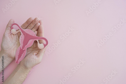 Hands holding uterus, female reproductive system , woman health, PCOS, hormone replacement and ovarian cancer concept photo