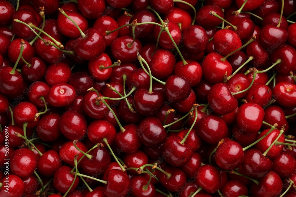 Ripe sweet cherries as background, top view Ripe sweet cherries as background, top view