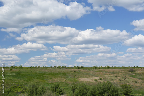 Beautiful landscape with green trees on sunny day