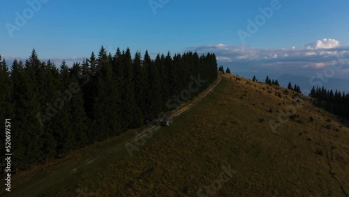Aerial drone shot flying.Car is driving dispersing a flock of sheep in the mountains. Green background, sunny day.