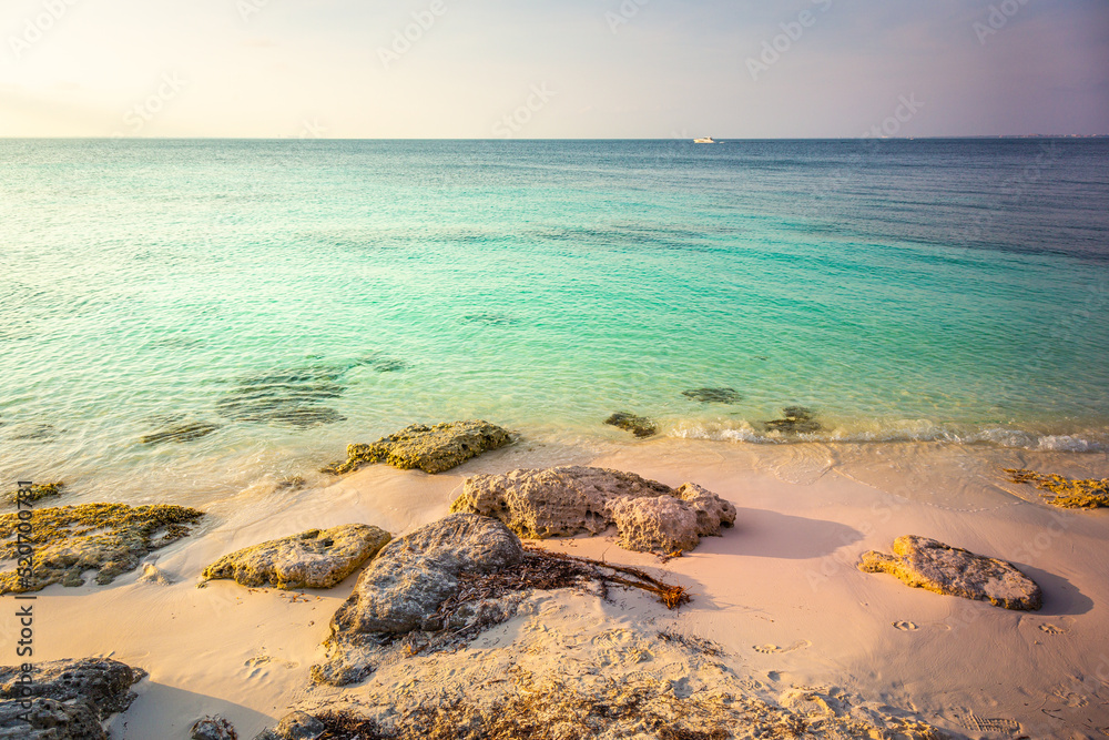 Idyllic and translucent caribbean beach at sunny day in Aruba