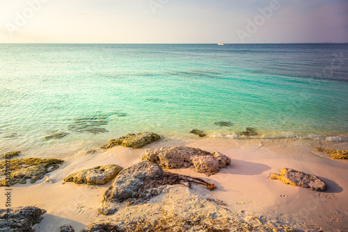 Obraz na płótnie Idyllic and translucent caribbean beach at sunny day in Aruba w salonie