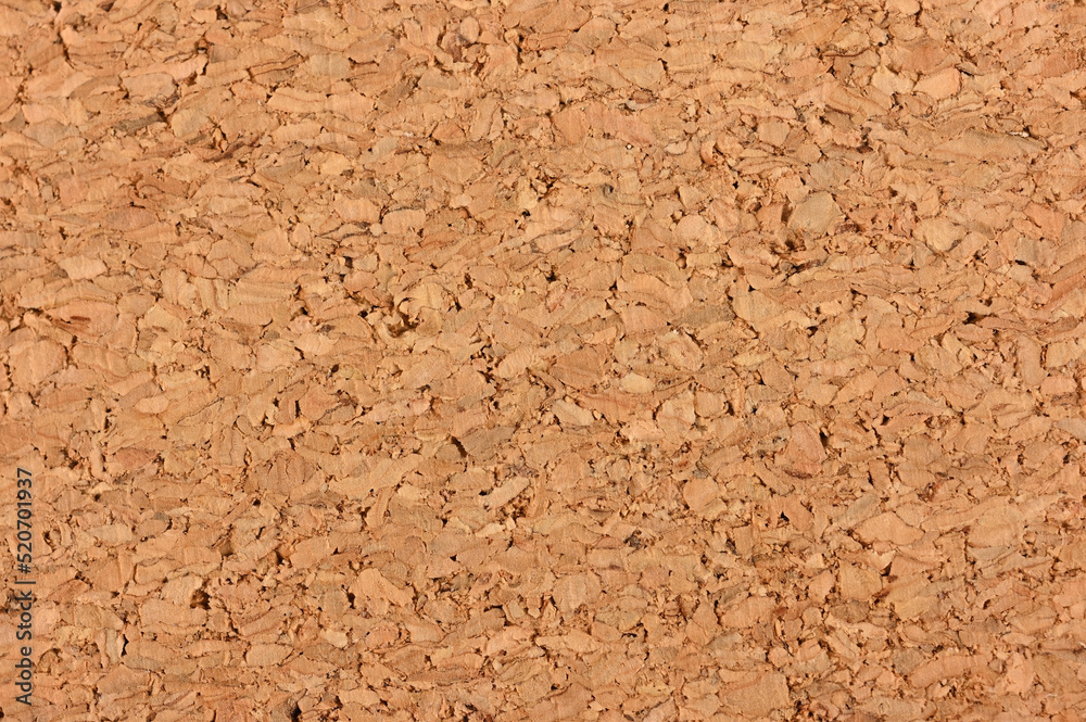 Processed by peeling off the cork tissue of the bark Processed by peeling off the cork tissue of the bark