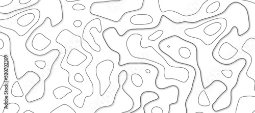 Black and white topographic topo contour map background, vector illustration