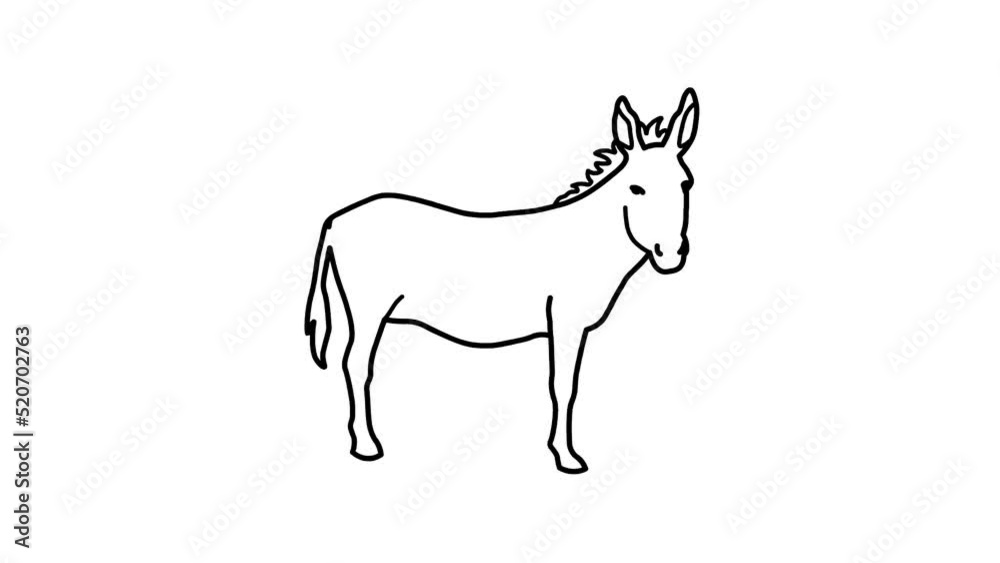 donkey Sketch and 2d animated, animal donkey Sketch and 2d animated, animal