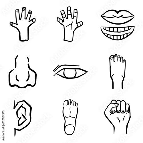 doodle human body part icon set with outline hand drawn style