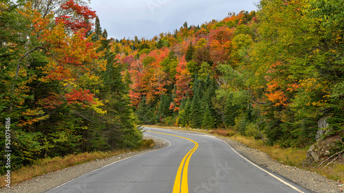 Winding Autumn Road - A wide-angle view of Highway Route 17, part of Rangeley Lake Scenic Byway, winding through a colorful dense mountain forest on a cloudy Autumn morning. West Maine, USA.