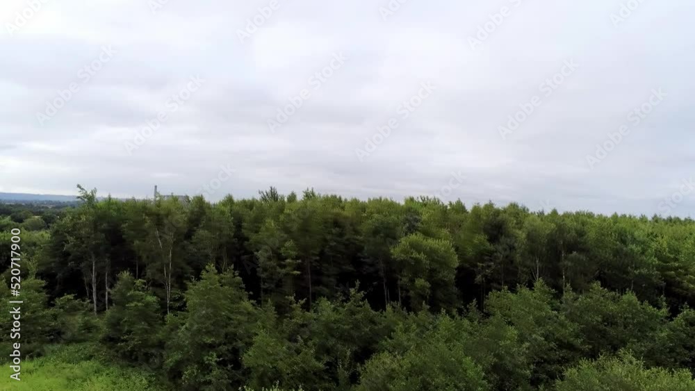 FPV drone soaring aerial view above British woodland forest countryside treetops FPV drone soaring aerial view above British woodland forest countryside treetops