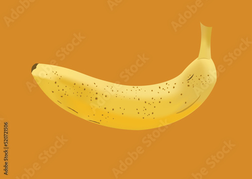 illustration of banana