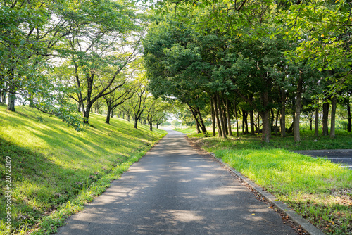 静かな公園の休日の景色